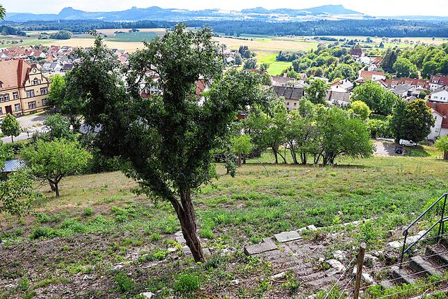 Von der historischen Altstadt von Aach hat man einen tollen Rundum-Blick auf die Hegauberge. Der steile Hang im Vordergrund wird von ...