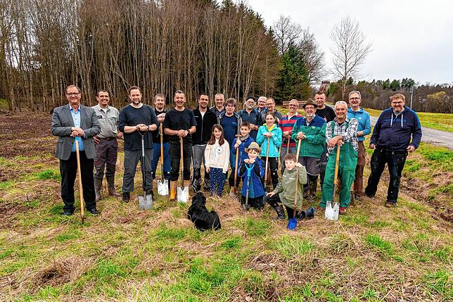 Insgesamt waren 25 Mitglieder der historischen Narronzunft am Dienstag damit beschäftigt, 300 Winterlinden beim im Sandwegle ...