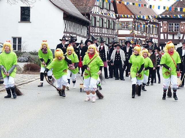 Bild 18: Bilder vom Umzug in Bermatingen
