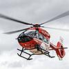Ein Arbeiter ist in Todtnau (Kreis Waldshut) mit einem Baustellen-Fahrzeug umgekippt und wurde mit einem Rettungshubschrauber ins ...