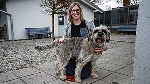 (Archivbild) Sie und ihr Team werden sich bald auch um Fundtiere aus Konstanz kümmern: Julia Schuhwerk, Leiterin des Tierheimes ...