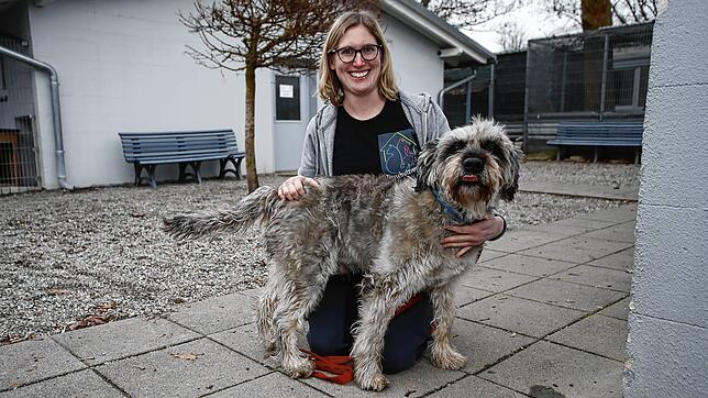 (Archivbild) Sie und ihr Team werden sich bald auch um Fundtiere aus Konstanz kümmern: Julia Schuhwerk, Leiterin des Tierheimes ...