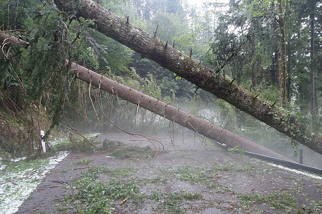 Bild 6: Die Folgen des Unwetters rund um Bonndorf am Freitag, 26. Juli 2019