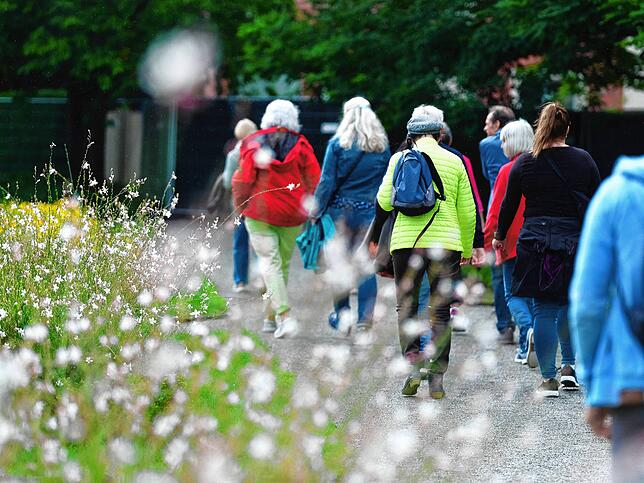 Bild 27: Kirchliches und Weltliches nah beisammen: SÜDKURIER-Leser blicken hinter die Kulissen