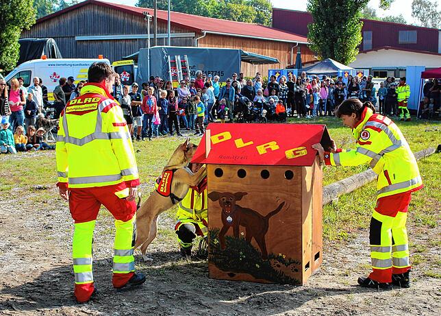 Hunde zum Anfassen für die Kinder: Die DLRG, Ortsgruppe Radolfzell, demonstrierte beim Aktionstag in Bohlingen den Besuchern anschaulich ...