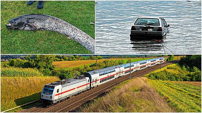 Ein großer Fisch wird aus dem Bodensee gezogen, eine Rentnerin steuert ihr Auto in selbigen hinein und für die Gäubahn gibt es neue ...