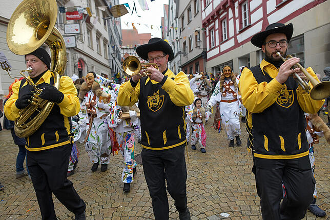 Bild 35: Tausende Hästräger und Musiker in Pfullendorf: Bilder vom Umzug (3)