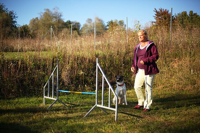 Bild 2: Gemeinsam in der Hundeschule: So üben Mensch und Tier zusammen auf dem Hindernisparcours