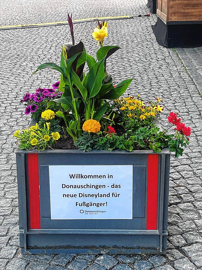 Bild 1: Protest per Blumenkübel: Wie ein Unbekannter die Donaueschinger Straßensperrungen kritisiert