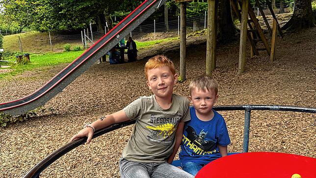 Der Spielplatz am Wildgehege bei Waldshut hat viel zu bieten und verbindet Natur, Tiere und Spielspaß auf einzigartige Weise.