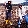 Aus einem Acker entstand in Wallbach Ende der 80er Jahre die BUND-Wiese. Das Bild zeigt Bernhard Ebner und Bernhard Biendl beim Pflanzen.