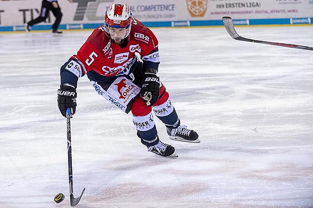 Bild 23: Die Wild Wings siegen wieder in der Deutschen Eishockey-Liga