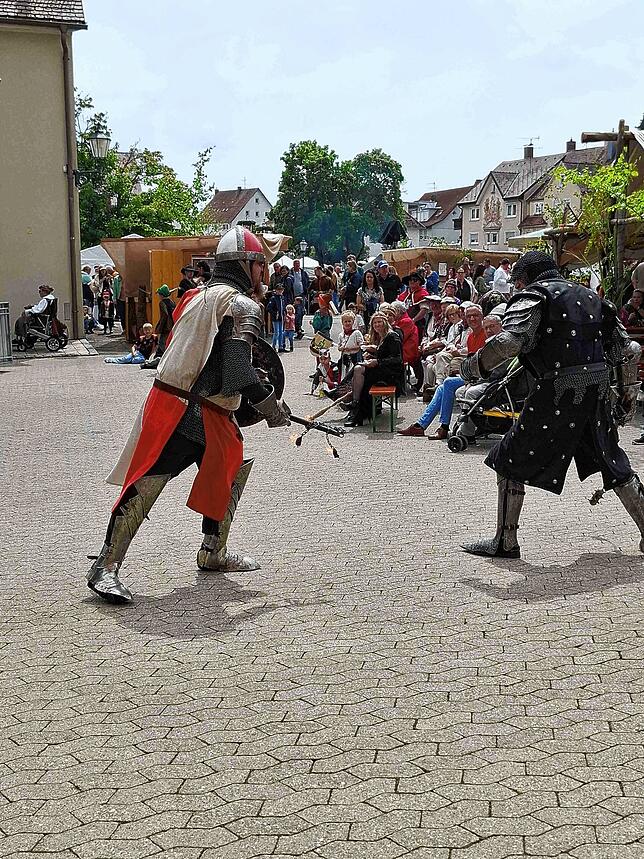 Bild 13: Mittelalter hautnah: Tausende beim 7. Stettener Spectaculum mit Rittern, Gauklern und Magiern