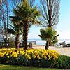 Osterferien am Bodensee 2020: Wo sonst Touristen die Region erkunden, sind derzeit &ndash; wie hier in Immenstaad &ndash; kaum Menschen ...