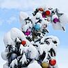 Archivbild: Das verschneite Konstanz im vergangenen Januar. An Weihnachten 2020 lag noch kein Schnee.