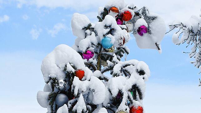 Archivbild: Das verschneite Konstanz im vergangenen Januar. An Weihnachten 2020 lag noch kein Schnee.