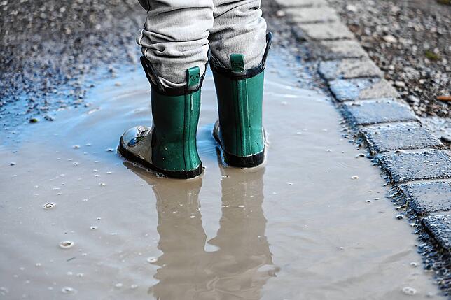 Bild 5: Bilder des Nachmittags der Mooser Wasserprozession