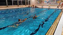 Im Hallenbad in Meßkirch finden ab Montag kommender Woche wieder verschiedene Schwimmkurse statt. Vor allem die Anfängerkurse sind laut ...