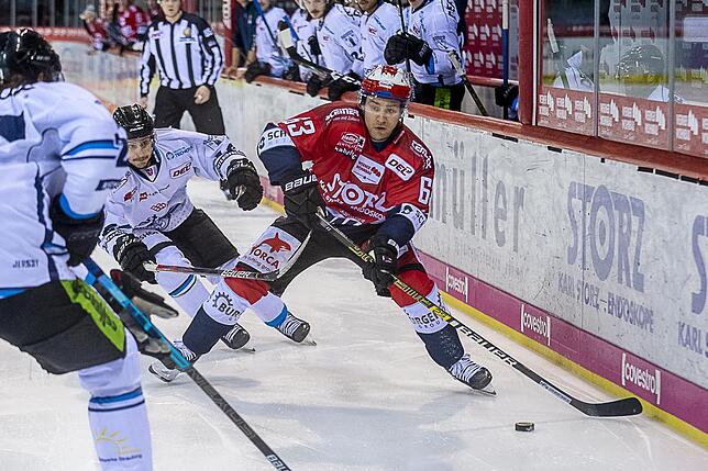 Bild 34: Die Wild Wings siegen wieder in der Deutschen Eishockey-Liga