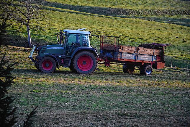 Wenn im Frühjahr die Landwirte mit der Feldarbeit beginnen, sind die Saatkrähen oft nicht weit.