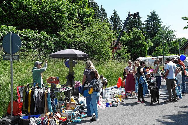 Bild 28: Bilder vom Fest der Betriebsamkeit in Friedrichshafen-Kluftern