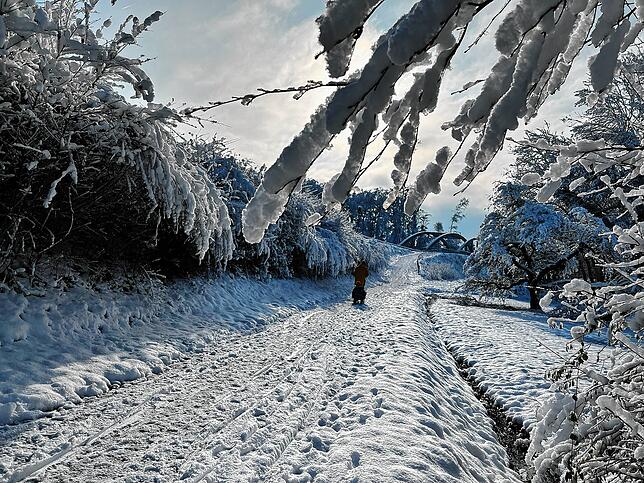 Bild 4: Was für ein Wintereinbruch am Bodensee: Die schönsten Schnee-Bilder vom Wochenende