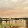 Durch die Wolkendecke über Konstanz-Staad schimmert es gelblich. Ursache für den trüben Himmel ist Saharastaub.