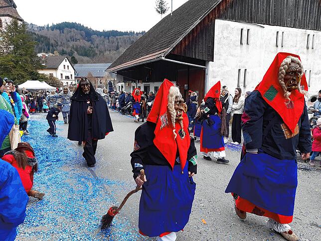 Bild 18: Die schönsten Bilder vom großen Habufa-Umzug in Hasel (2)