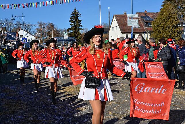 Bild 15: Bilder vom Narrentreffen der Urviecher-Zunft Bad Dürrheim: Großer Festumzug (3)