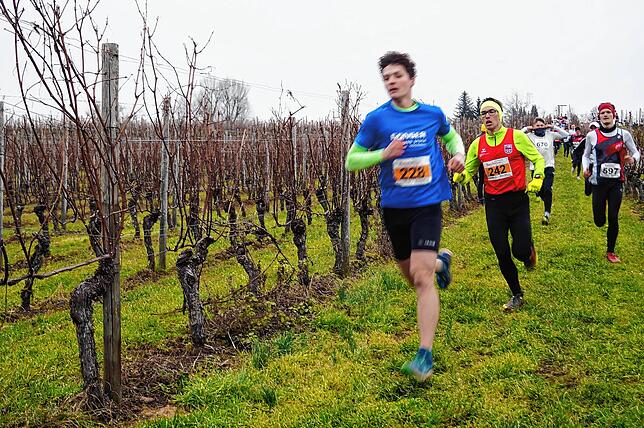 Bild 15: Bilder vom Crosslauf Hegau-Bodensee in den Reben oberhalb der Haltnau