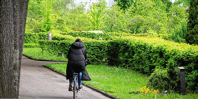 Viele Radfahrer, die illegal den Friedhof kreuzen, kommen aus Richtung Taborweg, so wie diese Frau.