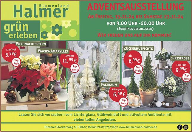 Bild 1: Adventsausstellung Blumen Halmer: Lichterglanz und Glühweinduft verzaubern