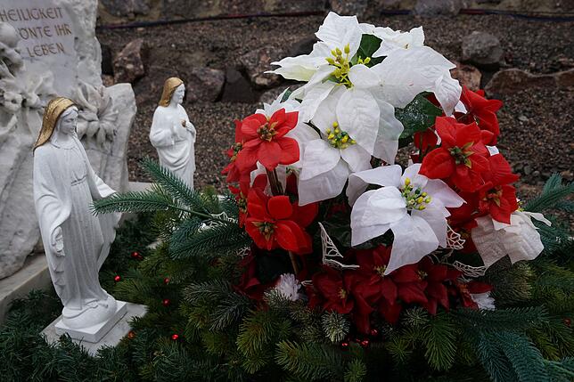 Weihnachtssterne sind in der Sekte ein beliebter Blumenschmuck.