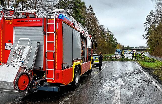 Die Einsatzkräfte sichern die Stelle ab, an der ein Baum auf die Straße gefallen war.