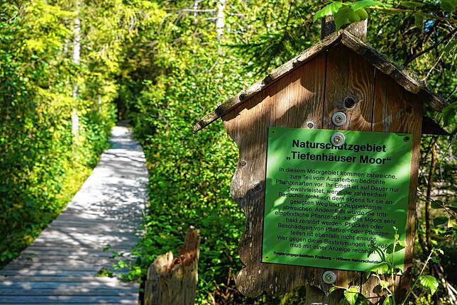 Klosterweg St.-Blasien Waldshut
