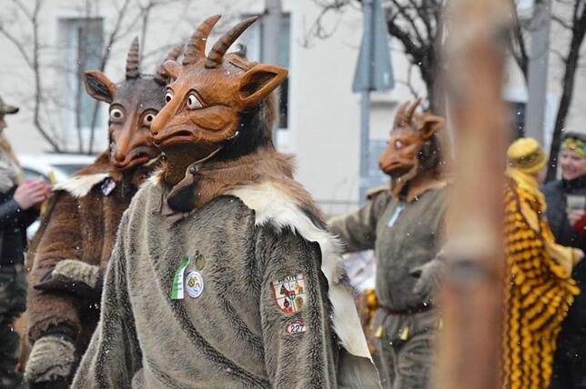 Bild 16: Bilder vom Narrensprung beim Ringtreffen des Alemannischen Narrenrings (Teil 1)