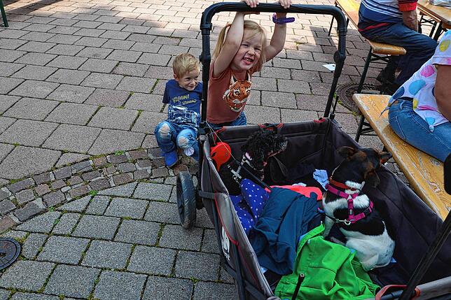 Bild 18: Bilder des Hamburger Fischmarkt in Todtmoos