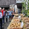 Kartoffeln, wohin das Auge blickt: In der Ausstellung des Landratsamts erfuhren die Besucher Wissenswertes über Sorten und den Anbau bis ...