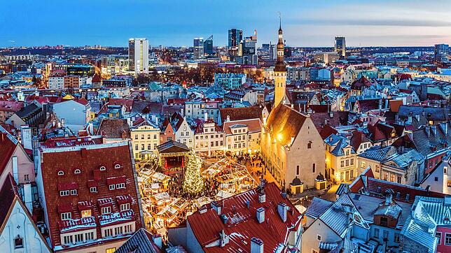 Der große Weihnachtsbaum ist der große Höhepunkt des Weihnachtsmarkts in Tallinn. Seit 1441 wird er bereits aufgestellt.