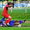 Bild :