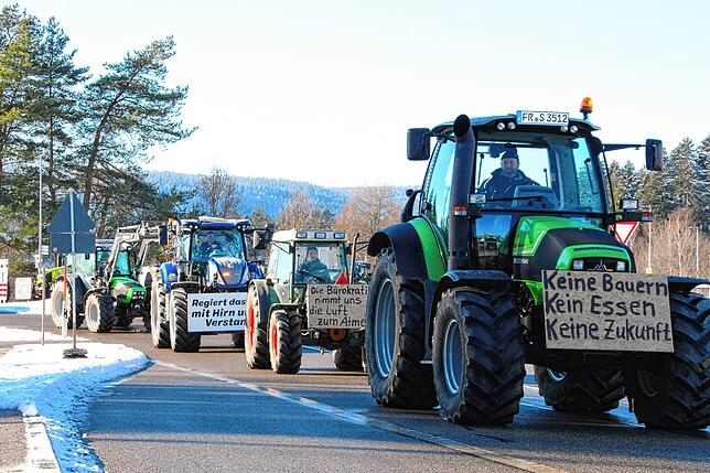Bild 17: Bauern protestieren gegen Sparpläne: Bilder vom Traktorkorso zur Brauerei Rothaus
