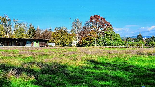 Lost Place: So langsam ist wirklich Gras über die Geschichte des VfR Rheinfelden und seiner legendären Spielstätte bei der Richterwiese ...