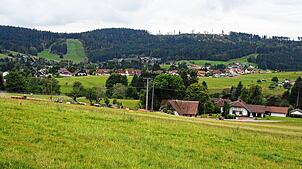 Ruhe und Erholung finden die Gäste in Herrischried; die Gemeinde ist umgeben von Wäldern und saftig grünen Wiesen. Foto: Andreas Böhm