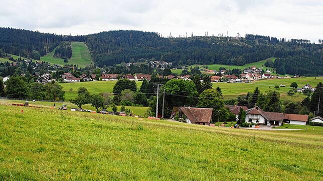 Ruhe und Erholung finden die Gäste in Herrischried; die Gemeinde ist umgeben von Wäldern und saftig grünen Wiesen. Foto: Andreas Böhm