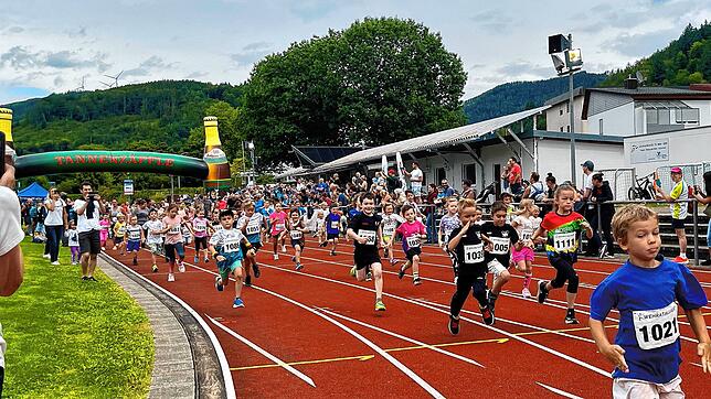 Beim Bambinilauf des Wehratallaufs gibt es einen Teilnehmerrekord. Bilder: Ralph Fautz