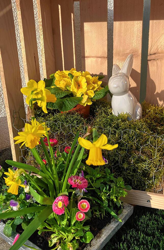 Frühling in Aichen.