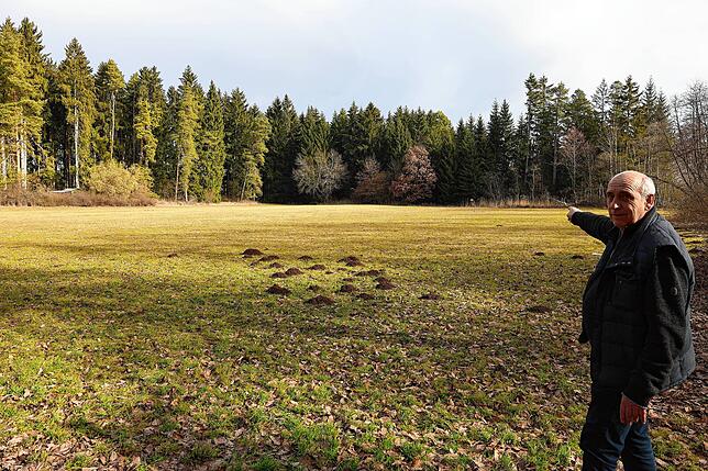 Ortsvorsteher Bernd Bucher zeigt auf die Hardwiese in Rietheim. Auf dem gelben Bereich der landwirtschaftlich genutzten Fläche hatte ...