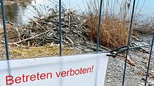 Der Bauzaun dient dem Schutz von Biber, seiner tierischen Luxusvilla mit Seezugang und als Vorsichtsmaßnahme, dass unachtsamen Menschen ...