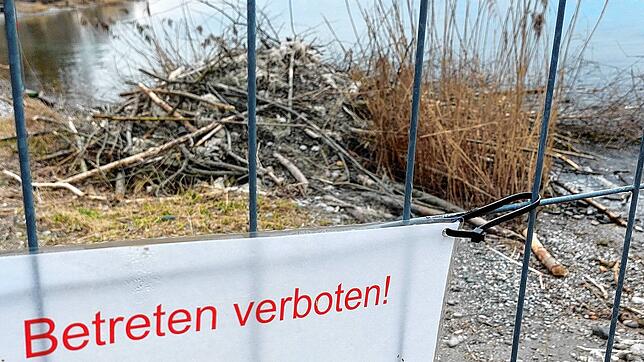 Der Bauzaun dient dem Schutz von Biber, seiner tierischen Luxusvilla mit Seezugang und als Vorsichtsmaßnahme, dass unachtsamen Menschen ...