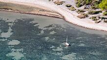 (Symbolbild) Keine Jolle wird beim Jugend-Segler-Tag am Ufer der Insel Reichenau entlangfahren. Denn: „Wir haben acht Grundschulen ...